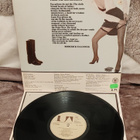 Roderick Falconer New Nation lp - pikkukuva 2