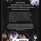 Sarenbrant, Sofie : Kerjäläinen - pikkukuva 2