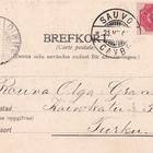 NUMEROLEIMA 311, LEIMA SAUVO - pikkukuva 1