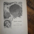 Matkustus Brasiliassa : kuvaus luonnosta ja kansoista 1888 - pikkukuva 2