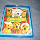 PENTUJENGI JA JA JOULUPENTU (FI+SWE -puhe) BD+DVD*** - pikkukuva 1