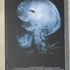 Pilvilinna joka romahti (2008) Noomi Rapace - pikkukuva 2