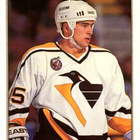 1993-94 O-Pee-Chee Premier - 0,15 € / kpl - pikkukuva 2