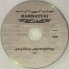 Harhatuli • Hohtoon hopeiseen PROMO CDr-Single - pikkukuva 2