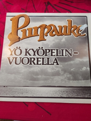 Piirpauke - Yö Kyöpelinvuorella