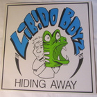 Libido Boyz:Hiding Away LP 1989 Punk - pikkukuva 1