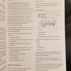 FORD-peruskoulutus : Käyttölaitteet (2006) - pikkukuva 2