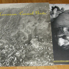 Jerry Harrison - Casual Gods - LP - pikkukuva 1