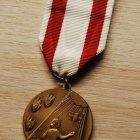 Kotirintamanaisten mitali 1939-1945 - pikkukuva 1