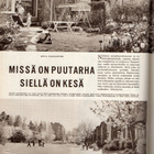 Kotiliesi n:o 15 1965 Sauna. Missä on puutarha, siellä kesä - pikkukuva 5