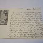 Varttunut lotta Kuopio - 1941 - pikkukuva 1