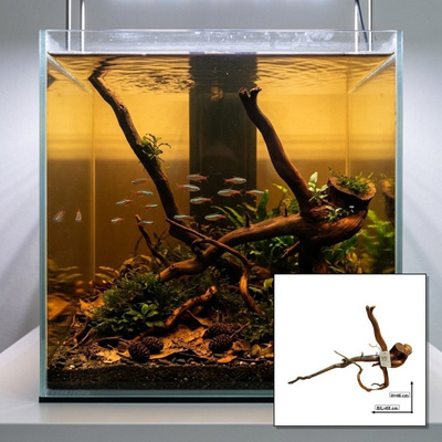 Uniikki akvaariojuurakko 65 cm | nr40C