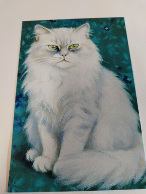 Kissa kortti,kulkematon,vaikka kehyksiin tauluksi.