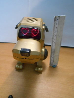 Poo-Chi