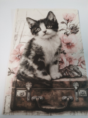 Kissa kortti, kulkematon.