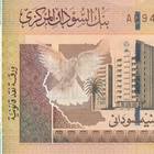 Sudan 1 Pound 2006 P64 #517 - pikkukuva 1