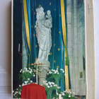 Notre Dame Haitarikortti - pikkukuva 4