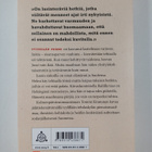 Tommi Kinnunen : Pintti : kolmenpäivänromaani - pikkukuva 2