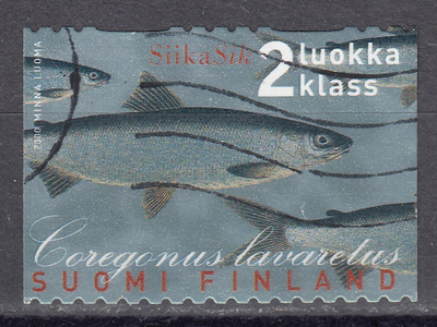 2000 Lape 1538 Maakuntakalat - Siika