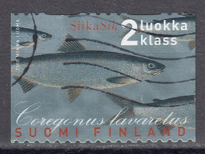2000 Lape 1538 Maakuntakalat - Siika