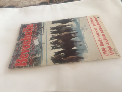 HEVOSHULLU 1/1980 HYVÄ