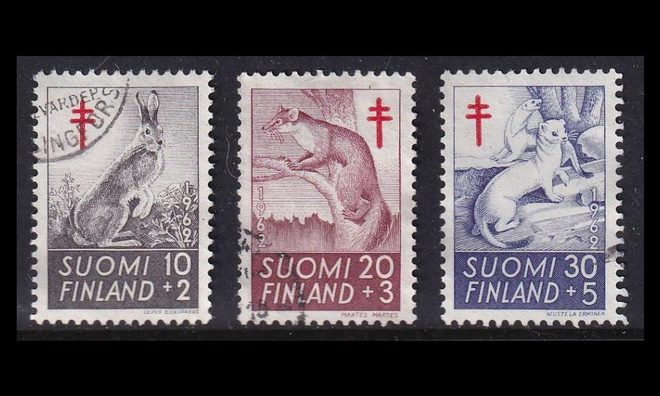 551-3 o Tuberkuloosi metsän eläimiä (1962)
