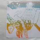 Blue Sabbath Black Fiji: LP 2010 Experimental - pikkukuva 2
