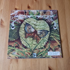 Spyro Gyra – Morning Dance lp 1979 Jazz-Funk, Fusion nm! - pikkukuva 2