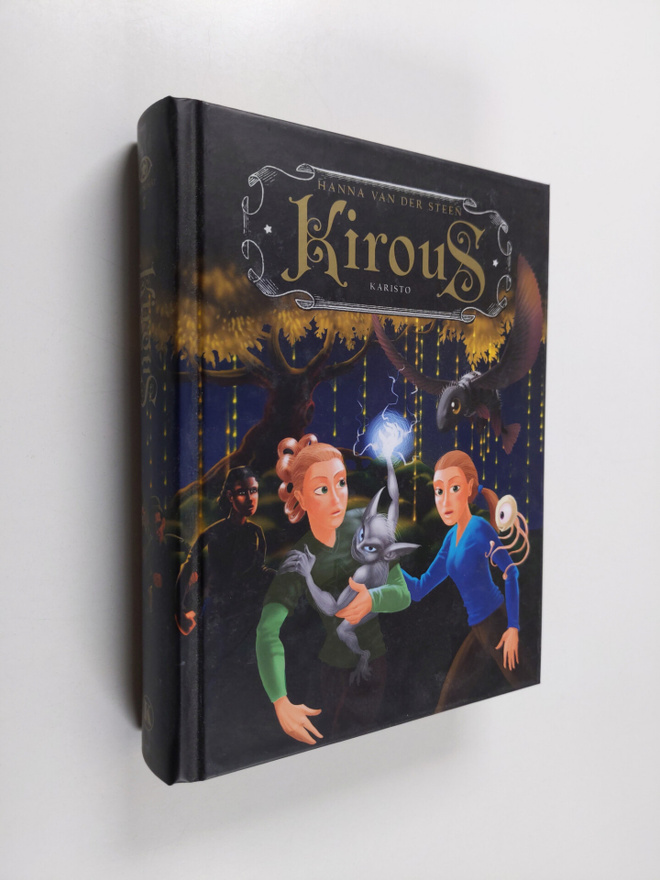 Hanna van der Steen : Kirous