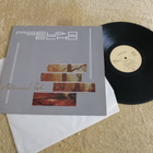 PSEUDO ECHO - Autumnal Park LP - pikkukuva 1