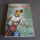 Kaarina Honkanen Kaitsu ja mopo - pikkukuva 1