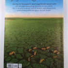 Piers Pickard : Lonely Planet's Beautiful World - pikkukuva 2