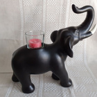 Partylite - Iso norsu somiste - pikkukuva 2