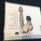 Tori Amos Little earthquakes US CD 1991 - pikkukuva 2