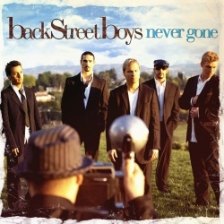 Backstreet Boys - Never Gone (DVD)