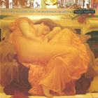 Malcolm McLaren - Waltz Darling - CD - pikkukuva 1
