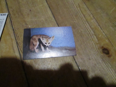  JENKKI   Korkeasaari purkkakuva n:o 90