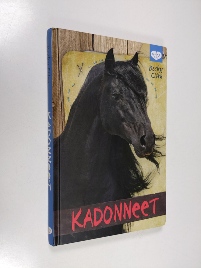 Becky Citra : Kadonneet