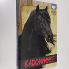 Becky Citra : Kadonneet - pikkukuva 1