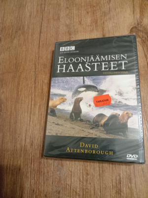 Eloonjäämisen haasteet