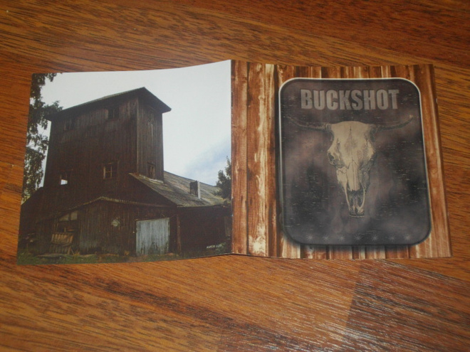 CD - BUCKSHOT - Damn Straight  2001 suomi blues rock MINT