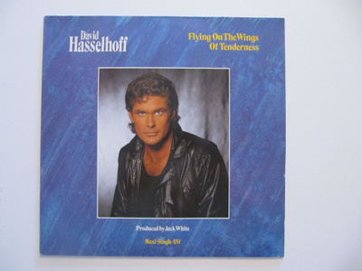 David Hasselhoff Flying On The Wings Of 12" sinkku LP