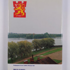 Pentti Palmu : Talousvarikko 1918-1993 : kyllä kruunu huo... - pikkukuva 2