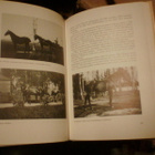 Lauri Jalkanen SUOMEN RATSUJALOSTUS ( 1 p. 1984 ) Sis.pk.t - pikkukuva 3