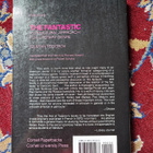 The Fantastic Tzvetan Todorov - pikkukuva 2