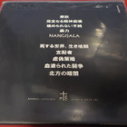 PARANOID - SATYAGRAHA M-/EX+ LP - pikkukuva 2