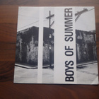 THE BOYS OF SUMMER 7 " Vinyyli Single - pikkukuva 1