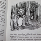(muovitettu) Jansson - Muumipappa ja meri 1.p. 1965 - pikkukuva 5