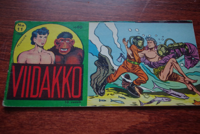 Viidakko 11 /1964