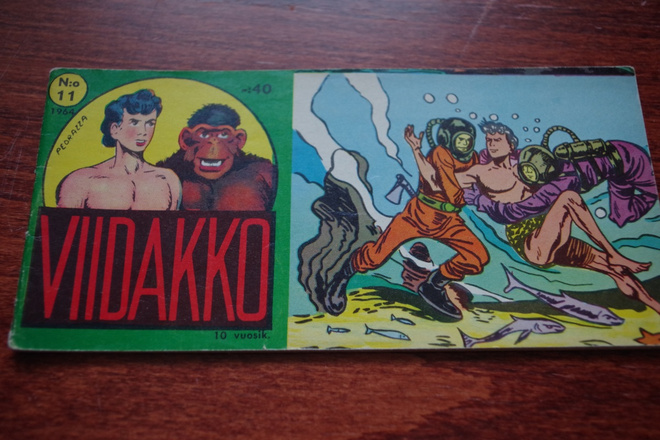 Viidakko 11 /1964